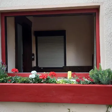 Apartment Bergnest By Interhome Bad Gottleuba-Berggiesshuebel