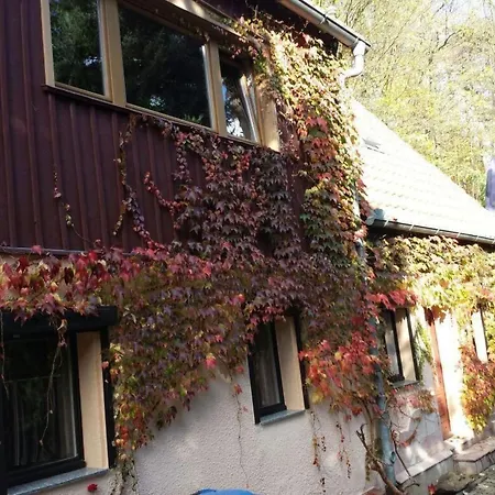 Apartment Bergnest By Interhome