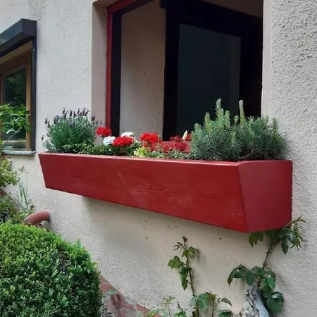 Bergnest By Interhome Apartament Bad Gottleuba