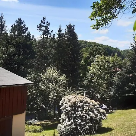 Bergnest By Interhome * Bad Gottleuba