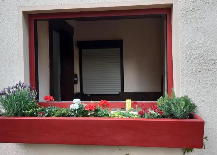 Apartment Bergnest By Interhome Bad Gottleuba-Berggiesshuebel