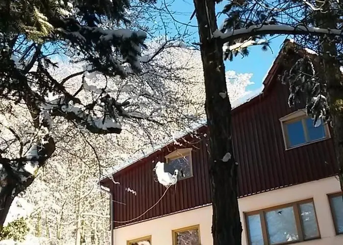 Bergnest By Interhome