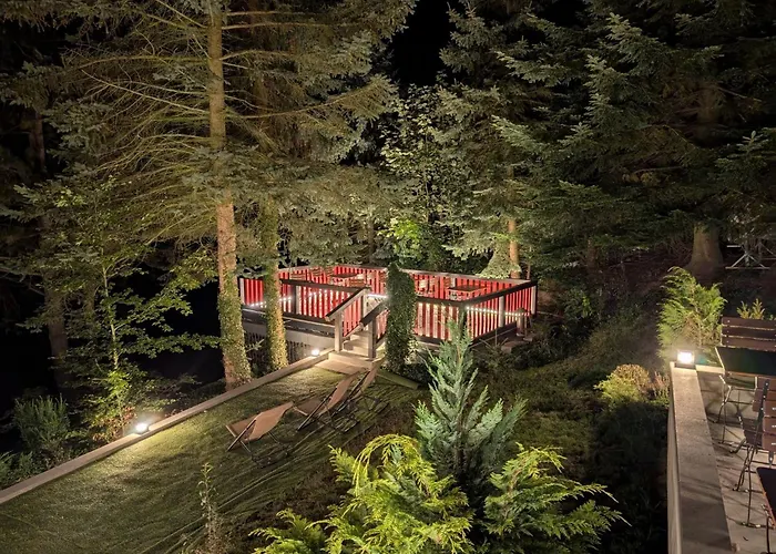 Apartment Bergnest By Interhome Bad Gottleuba-Berggiesshuebel